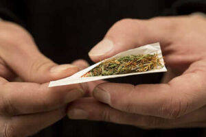 Man rolls marijuana joint